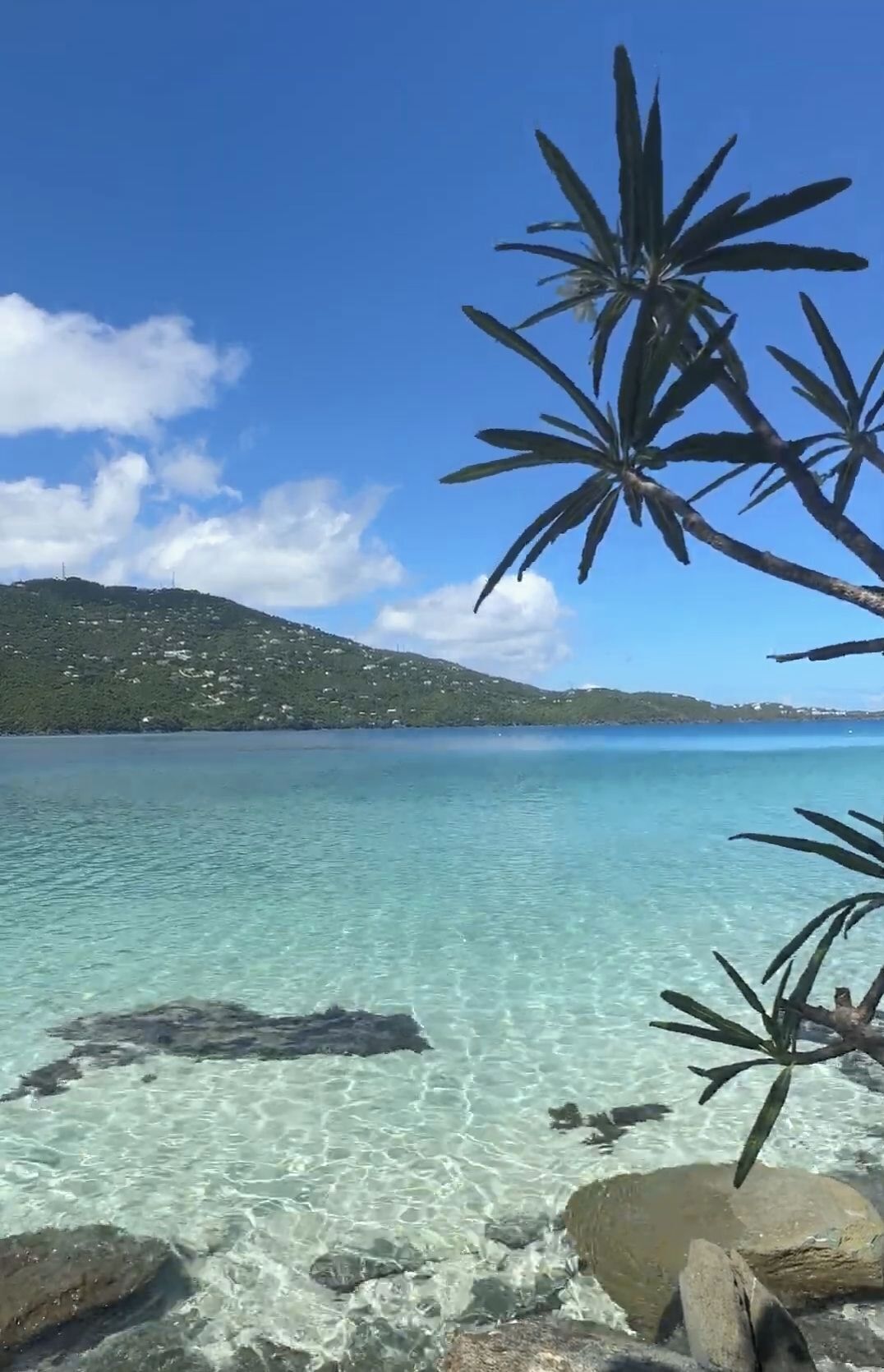 On the beach, sun-loungers, beach towels