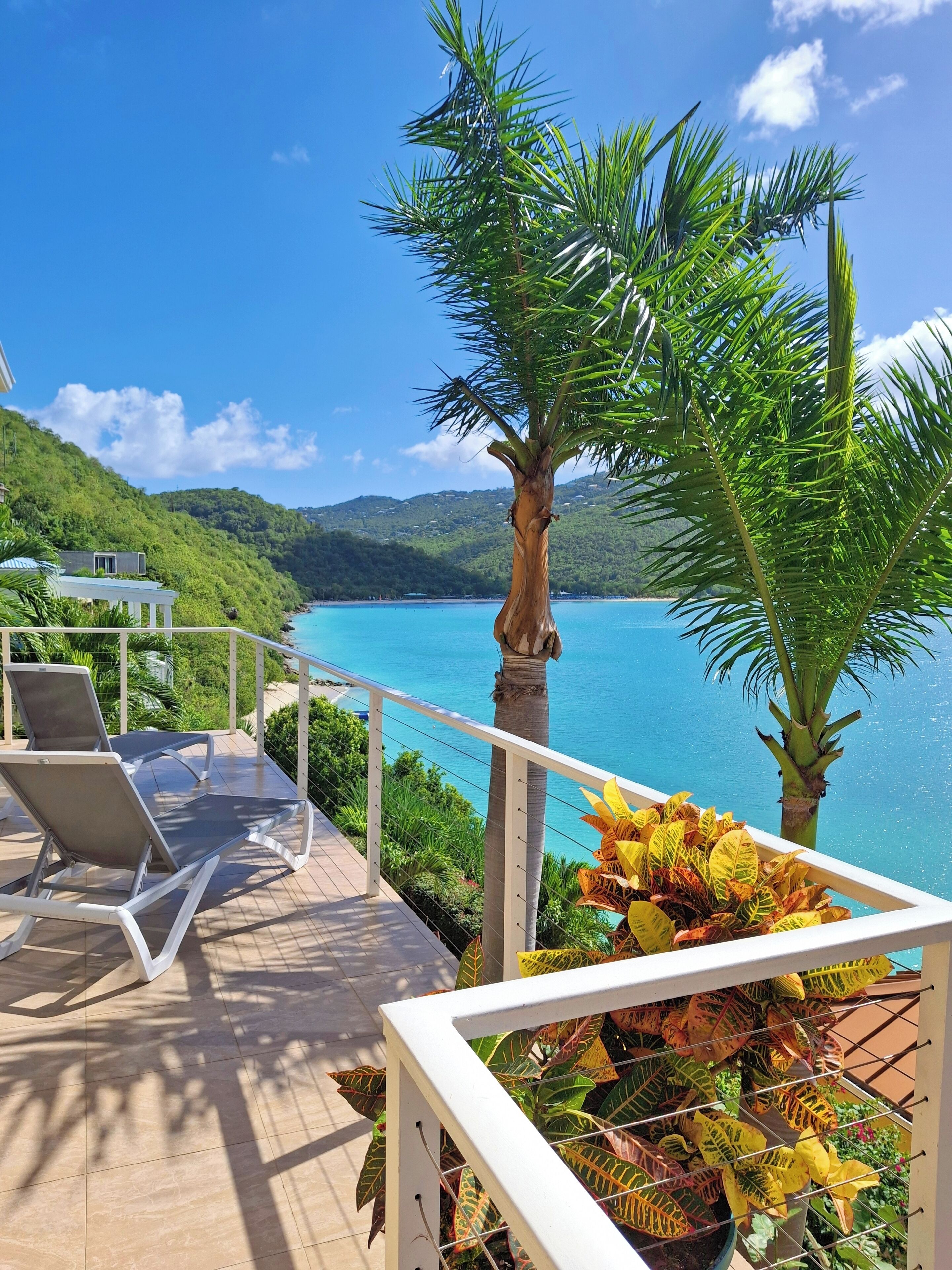 テラス / パティオ