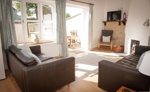 Télévision, cheminée, lecteur de DVD, livres