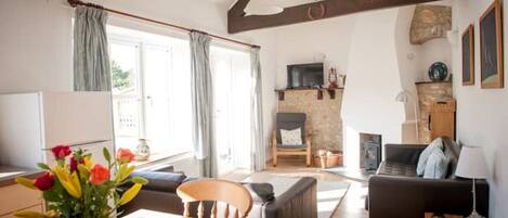 TV, fireplace, DVD player, books