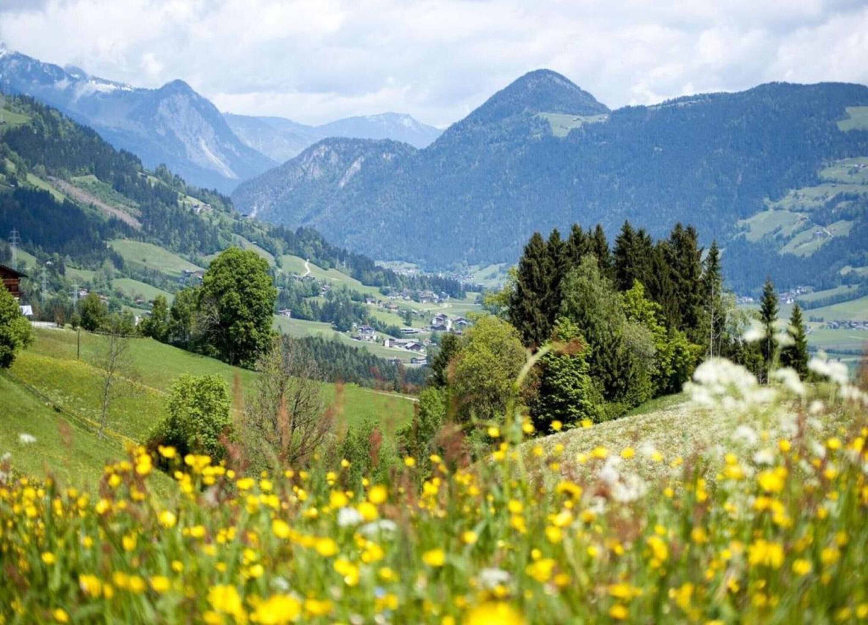 A valley with mountains in the background, a small village, and a field of yellow flowers in the foreground.
