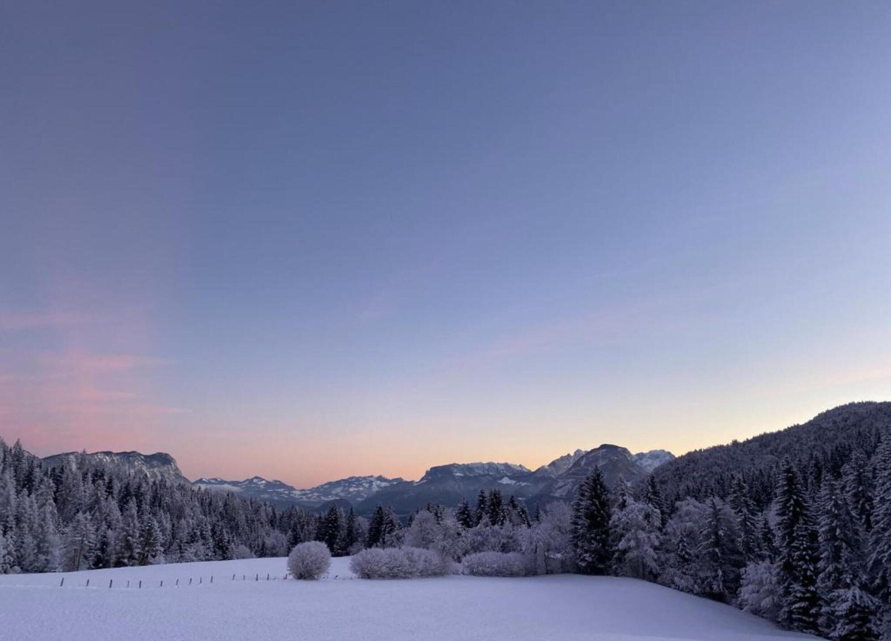 A snowy landscape with a clear sky, a snow-covered field, and a forested mountain range.