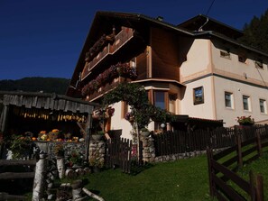 House | Exterior - Apartment in Hippach With Mountain Views (Hippach)