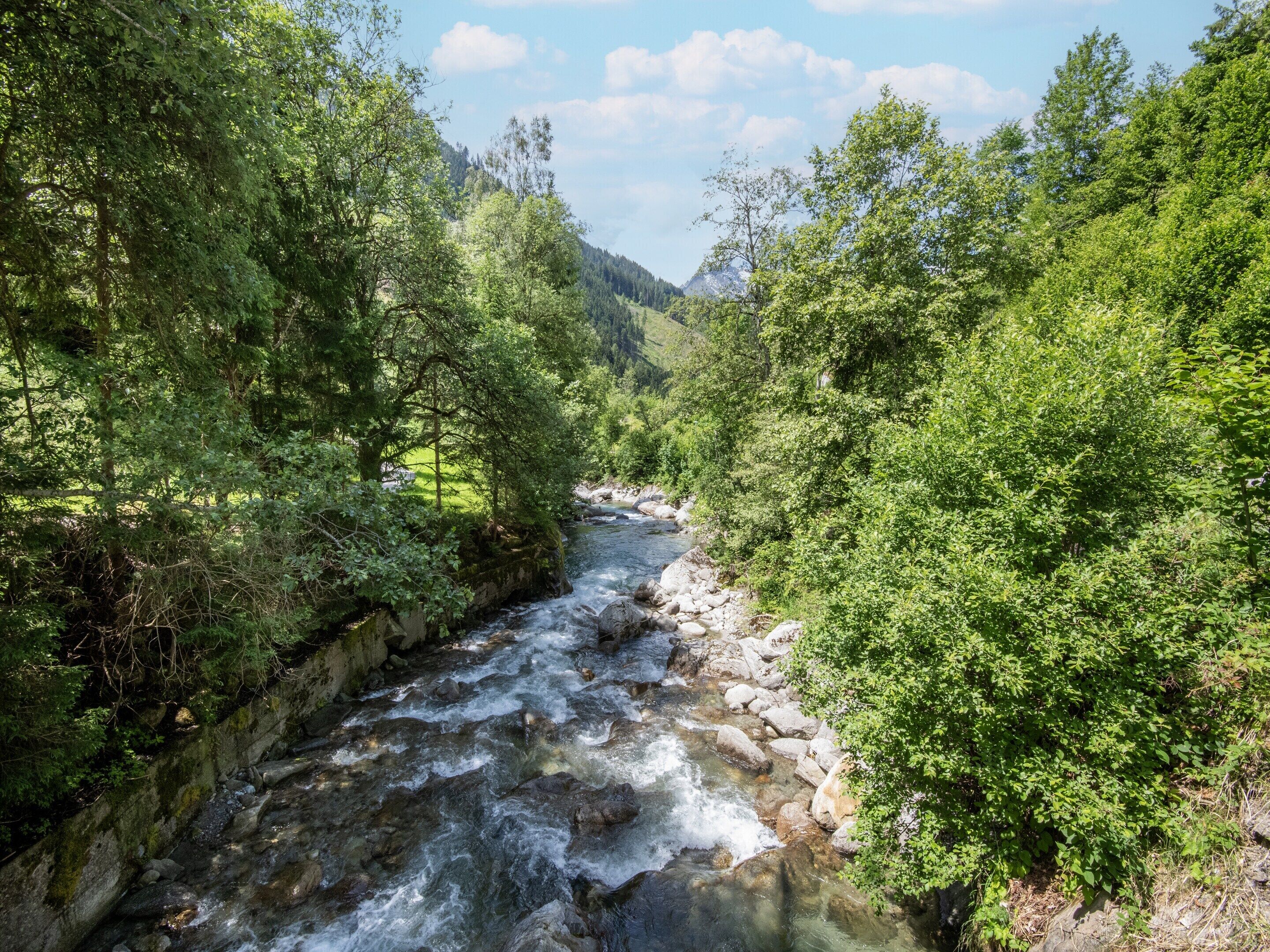 Un fiume che scorre attraverso una valle boscosa, con terreno roccioso e fitta vegetazione.