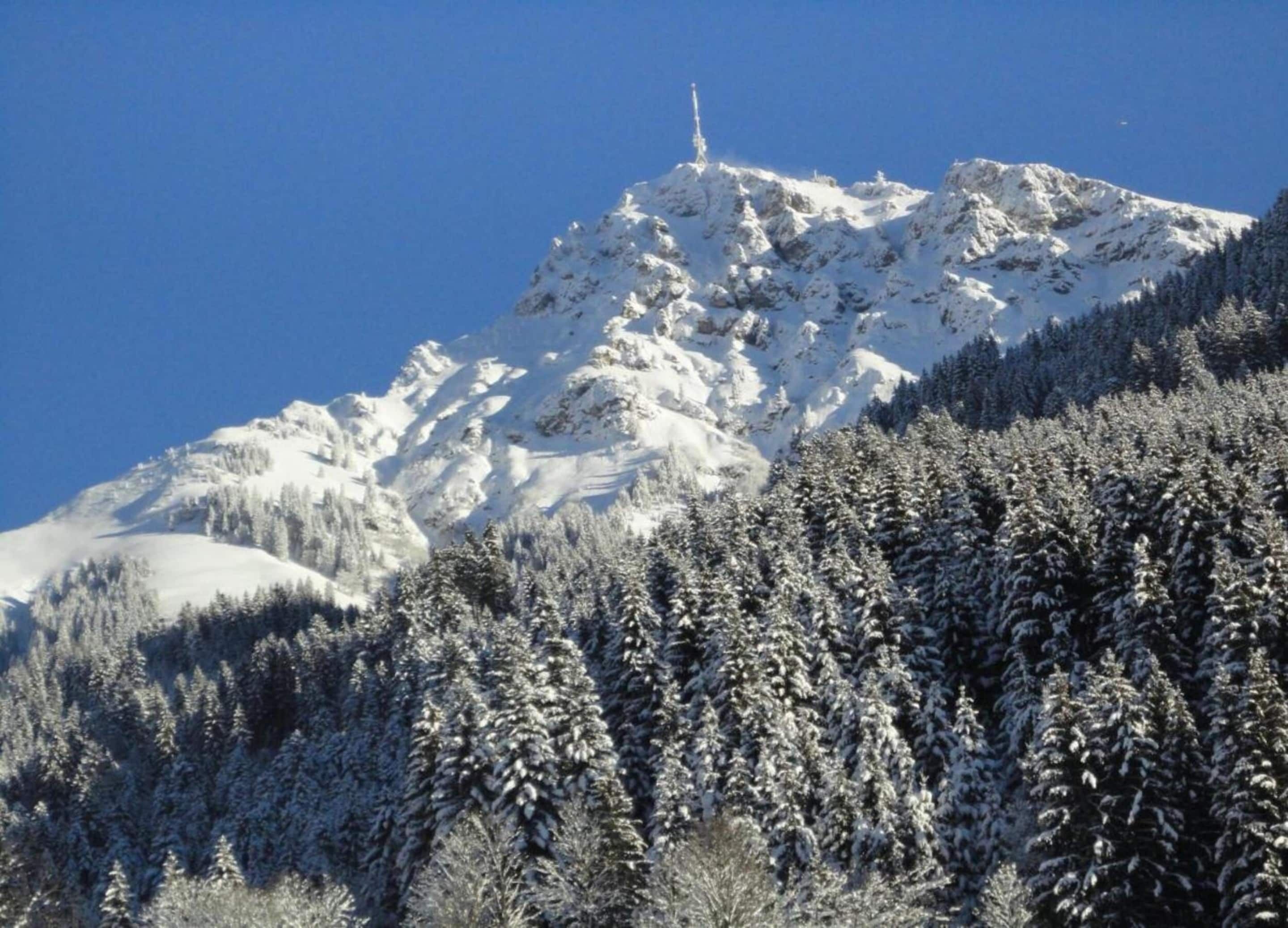 A snow-covered mountain with a communication tower on top, surrounded by dense evergreen trees.