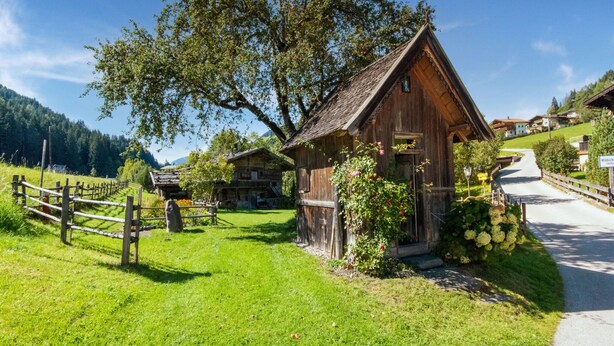 A traditional wooden house with a sloped roof, surrounded by lush greenery and a clear sky. - Group Holiday Apartment in Oberau With Pool use (Wildschönau)
