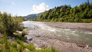 Ein Fluss mit steiniger Uferböschung und dichtem Wald im Hintergrund.