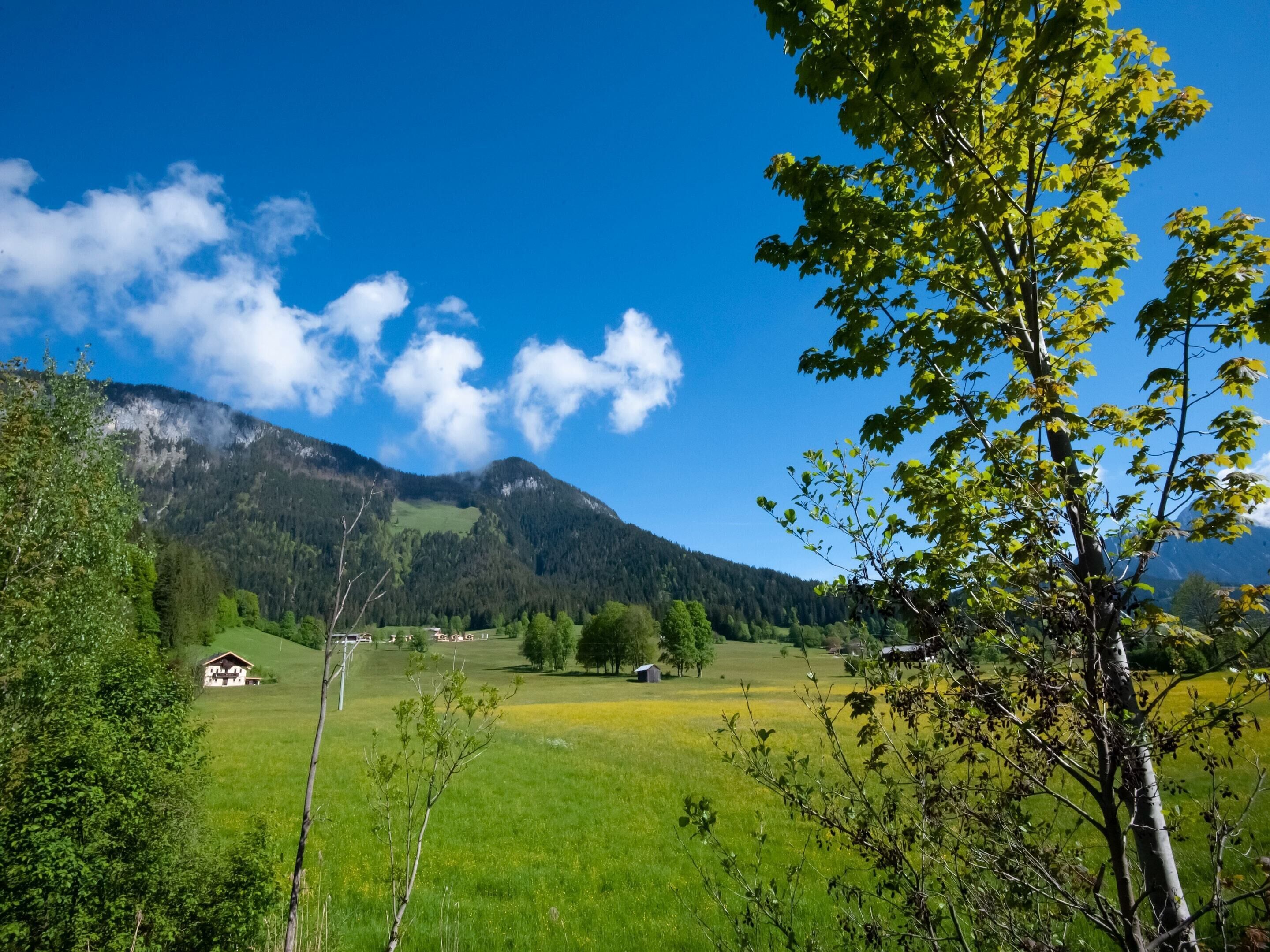 A rural landscape with a mountain, green fields, and a few buildings.