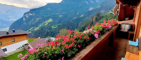 Appartement | Balkon