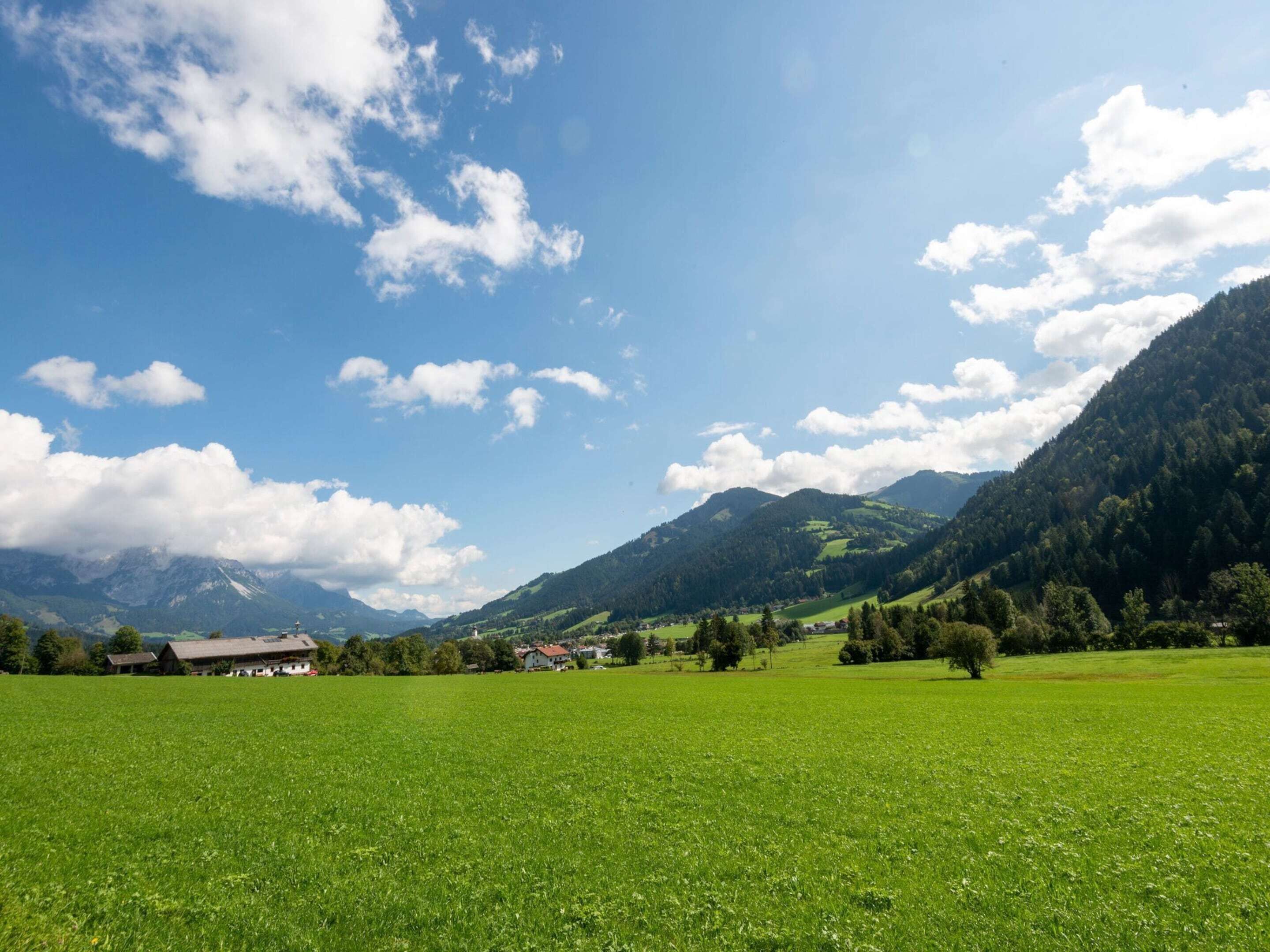 Un prato verde con una montagna sullo sfondo e alcuni edifici.