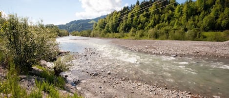 A river with rocky banks and dense greenery on both sides.