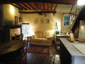 TV, fireplace, books - Beautiful authentically restored Tuscan cottage close to Lucca and the coast (Borgo a Mozzano)