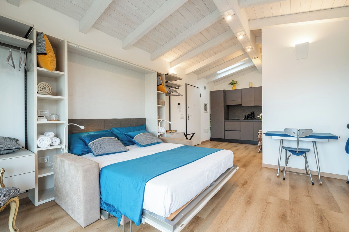 Panoramic Studio