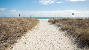 En sti af sand der fører til stranden, med sparsom beplantning langs begge sider.