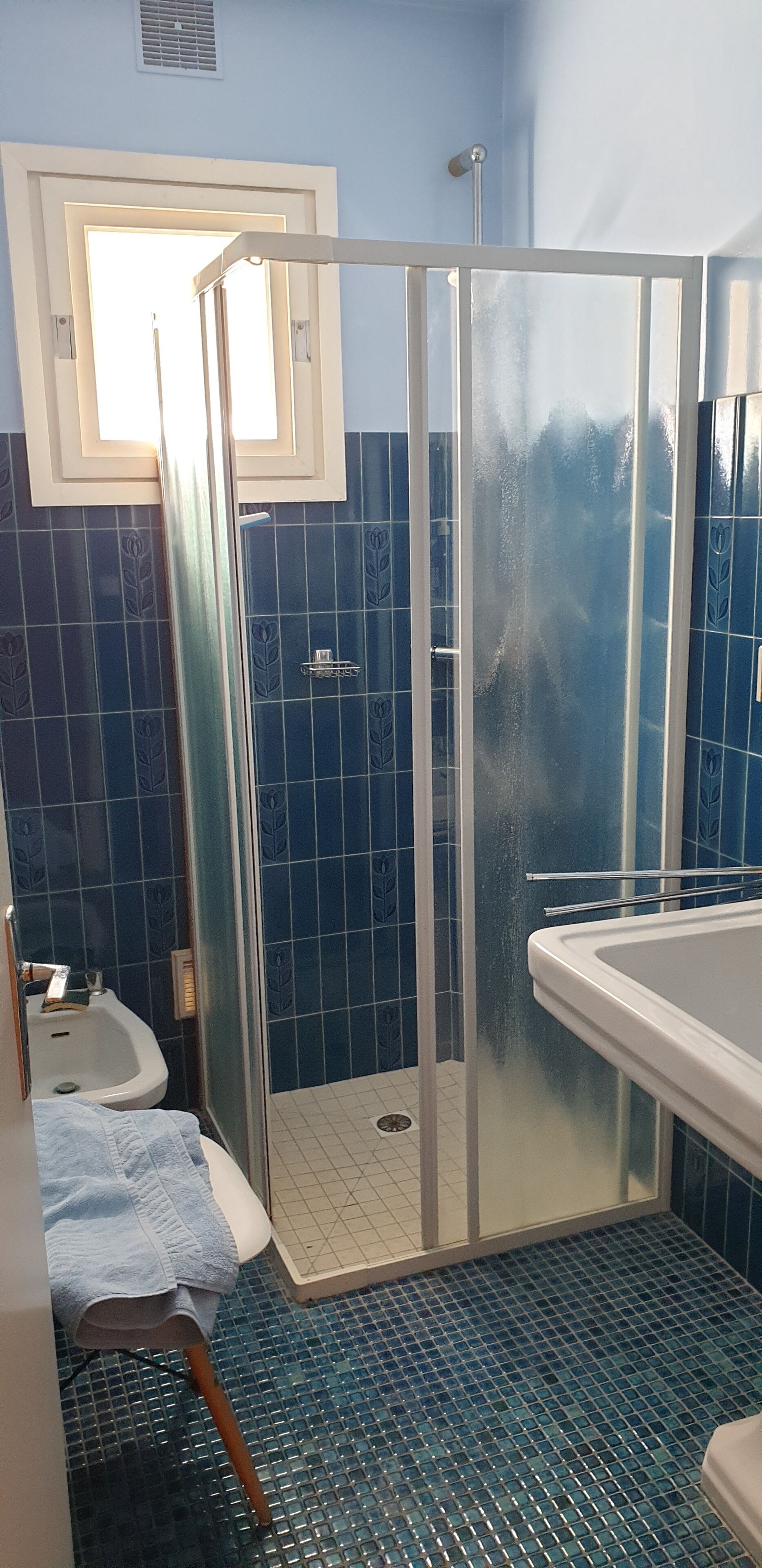 Dusche, Haartrockner, Bidet