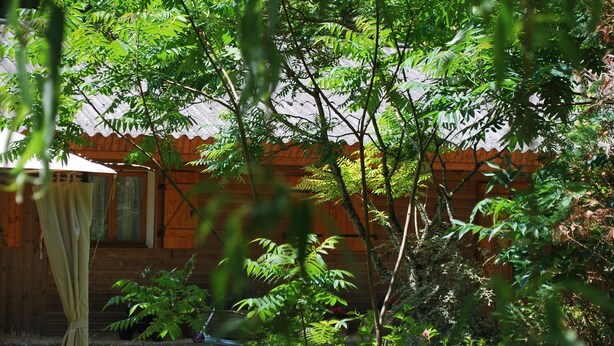 A wooden cabin with a small porch and a bicycle. - Les Cigales II (Lamothe-Fénelon)