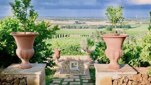 Un vialetto in pietra conduce a fioriere in terracotta con alberi giovani, con vista su un vigneto e campi lontani.