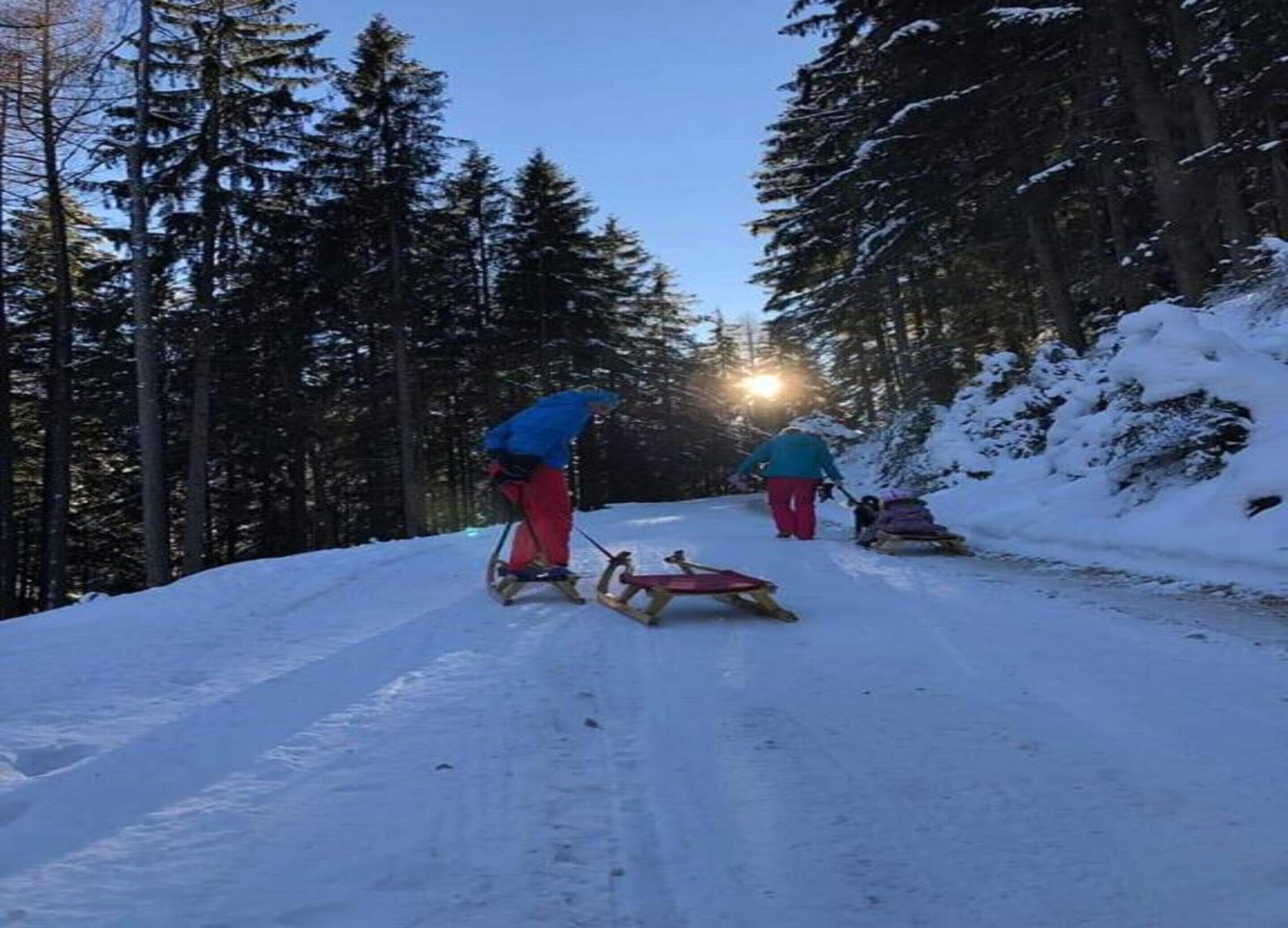 A snowy forest path with people using sleds and skis.