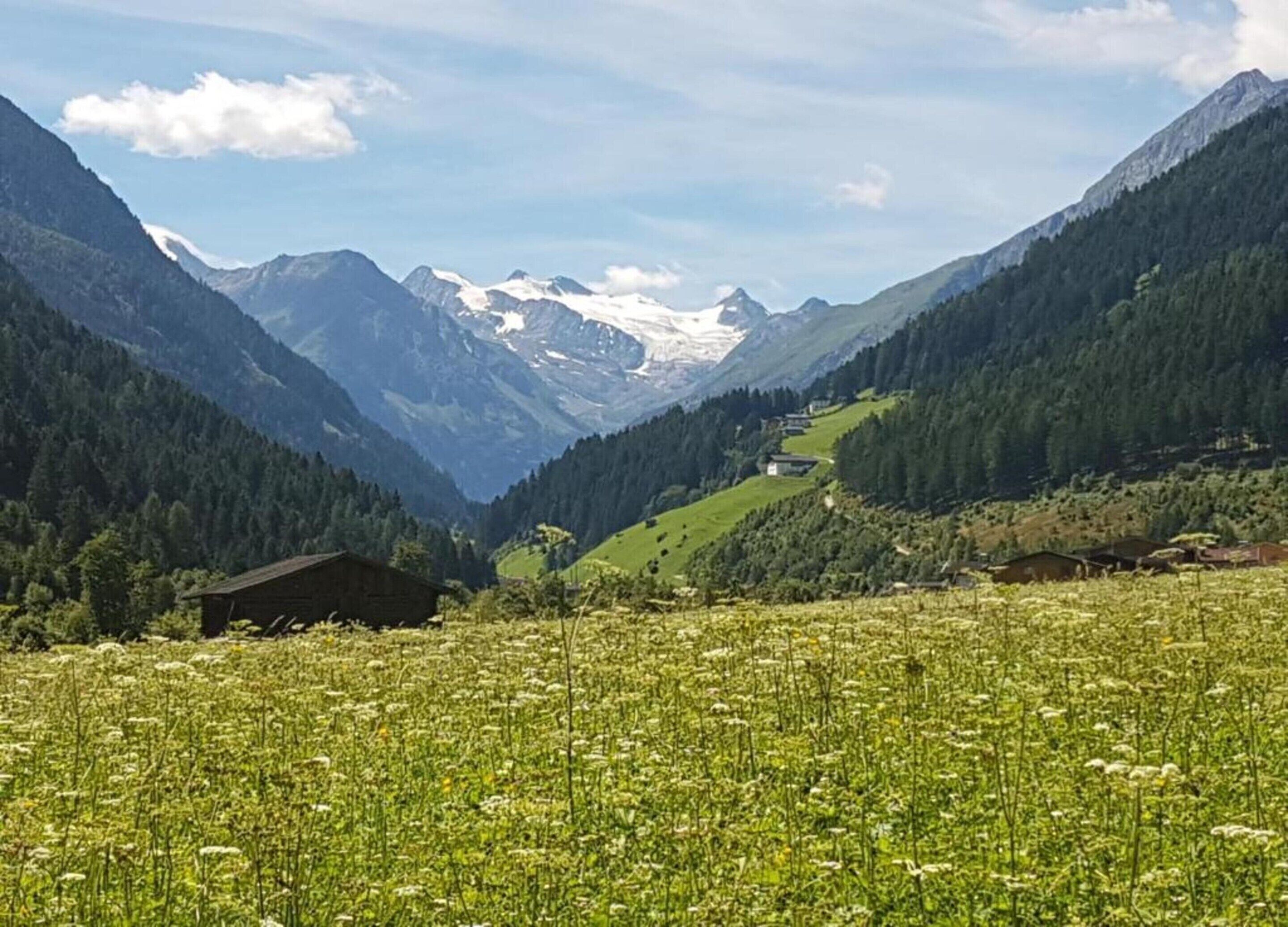 Un paisaje montañoso con un valle, casas y un campo de flores.
