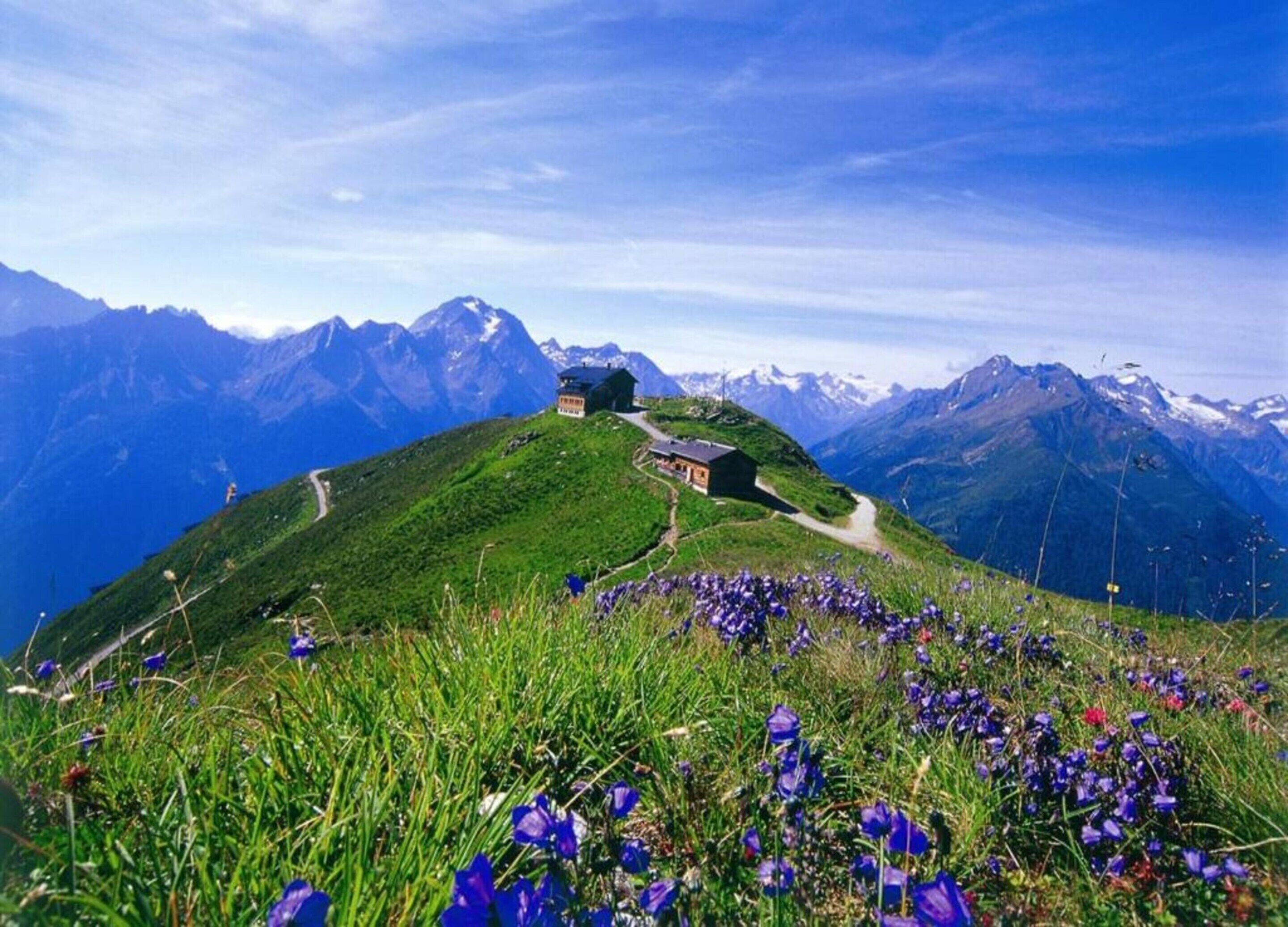 Un chalet de montagne, accessible par un sentier bien tracé, entouré d’une végétation luxuriante et de fleurs violettes.