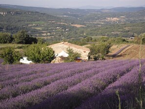 Exterior - In the heart of the Grand Luberon, a SWIMMING POOL, a QUIET, comfortable home. (Castellet-en-Luberon)