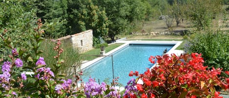 المنطقة المحيطة بالمنشأة