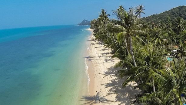 Una playa con agua turquesa cristalina, una orilla de arena y una hilera de palmeras.