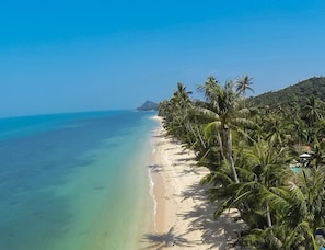 Een strand met helder turquoise water, een zandstrand en een rij palmbomen.