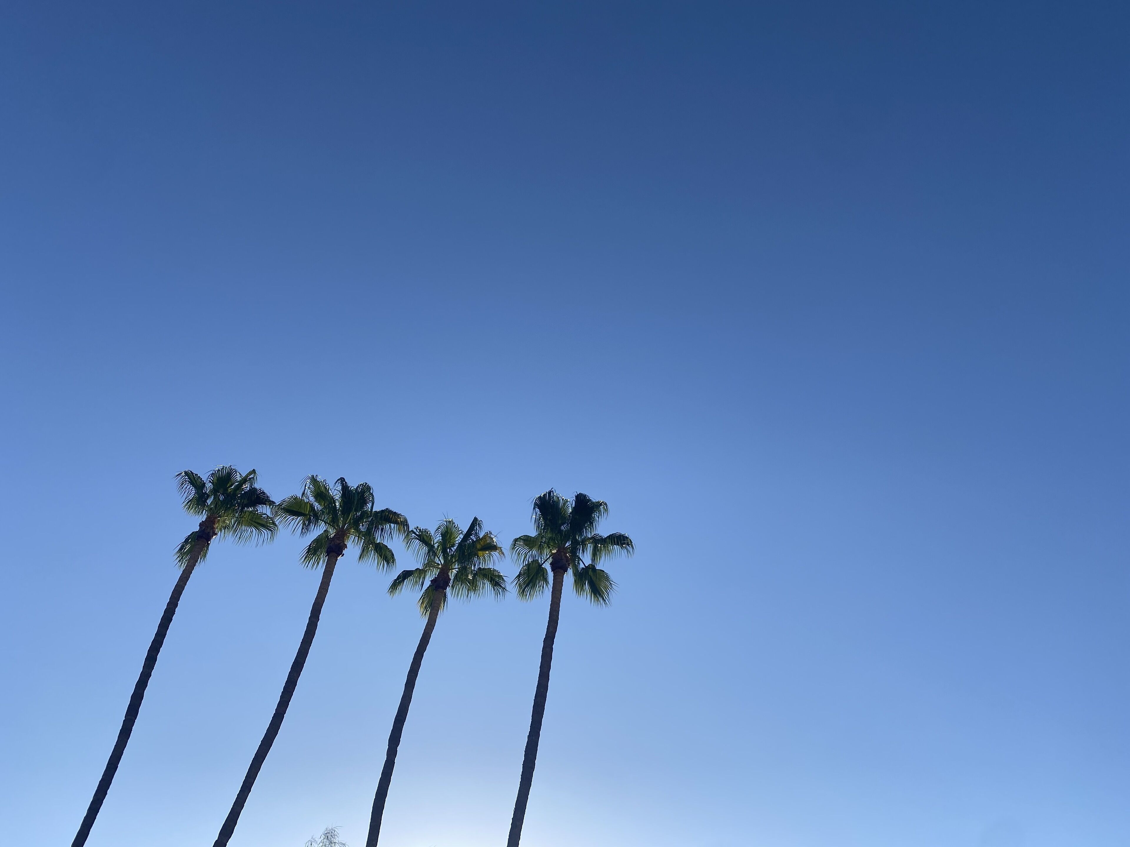 4 Palms Movie Colony East a Private, Charming Home in the heart of Palm Springs