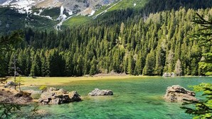 A clear mountain lake surrounded by dense forest and rocky terrain. - Holiday Apartment in Stubai With Balcony (Neustift Im Stubaital)