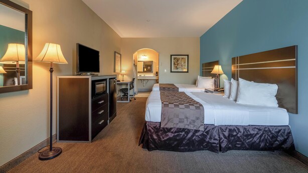 Een hotelkamer met een bed, een bureau, een televisie en een spiegel.