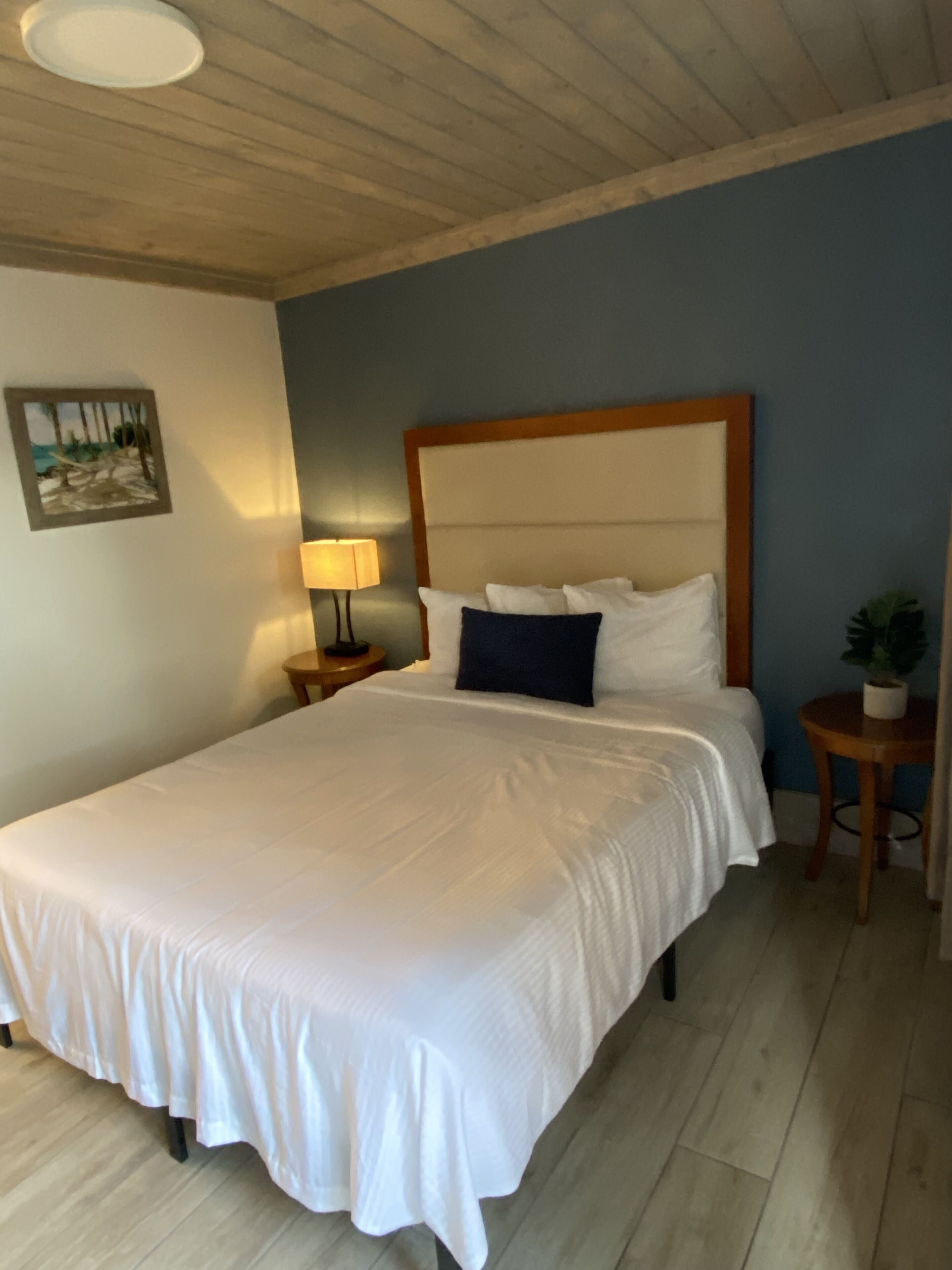 Basic Studio | Down comforters, desk, laptop workspace, free WiFi