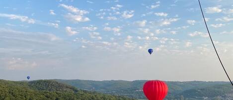 A river with hot air balloons in the distance, surrounded by lush greenery.