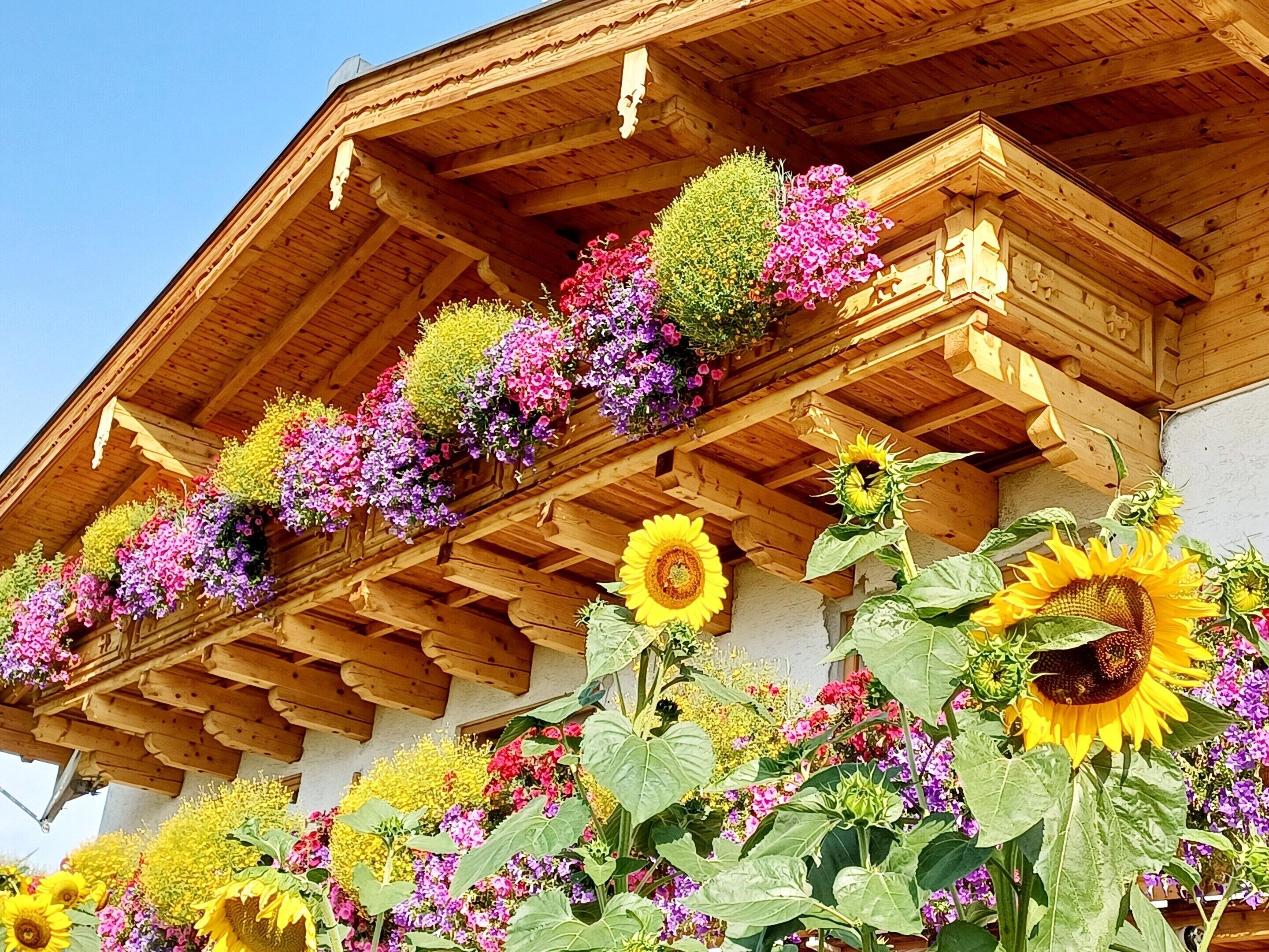 Een houten gebouw met een schuin dak en bloembakken vol verschillende bloemen.