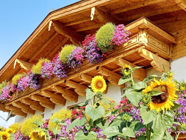 A wooden building with a sloped roof and flower boxes filled with various flowers.