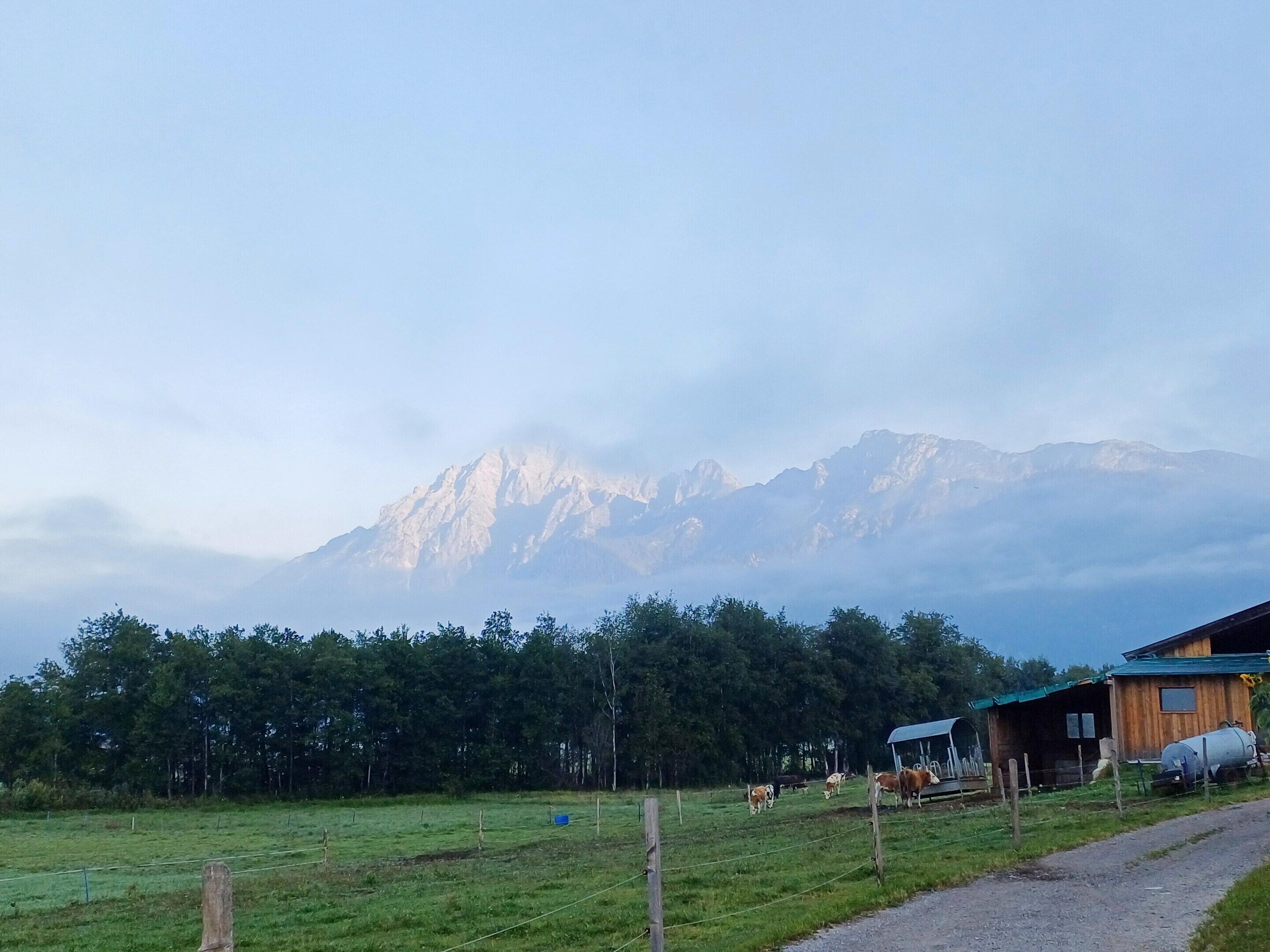 A rural landscape with a mountain in the background, a wooden cabin, and grazing cows.