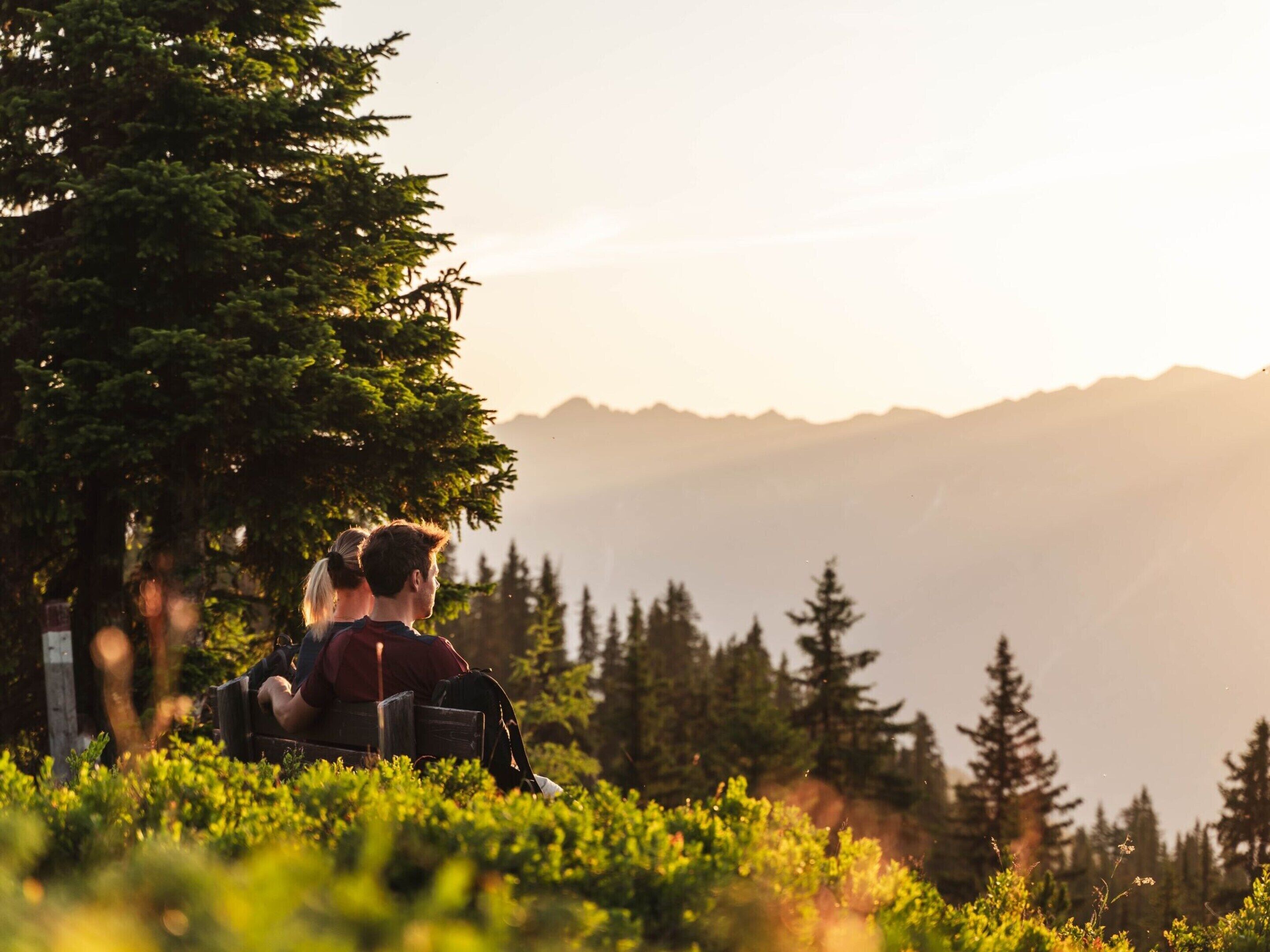 A couple sitting on a bench in a forested area with a mountain view.