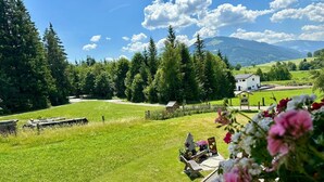 A rural landscape with a grassy field, trees, and a building in the distance. - Apartment in Saalfelden am Steinernen Meer (Saalfelden am Steinernen Meer)