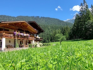 Appartement | Extérieur