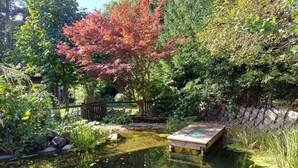 Un jardin paisible avec un étang, une terrasse en bois et diverses plantes.