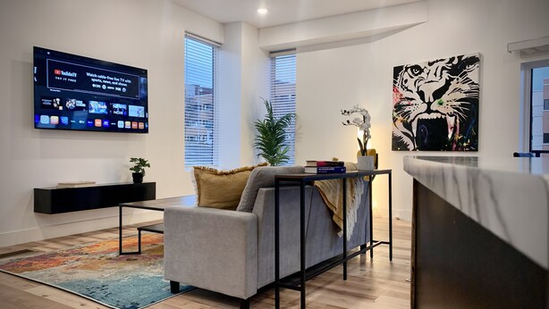 A modern living room with a grey sofa, a flat-screen TV mounted on the wall, a coffee table with books and a plant, and a colorful rug.