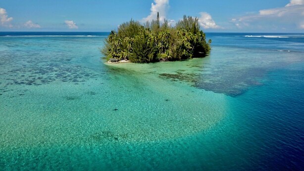 Una pequeña isla con vegetación exuberante y aguas turquesas cristalinas.