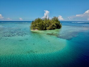 A small island with dense vegetation and clear turquoise waters.
