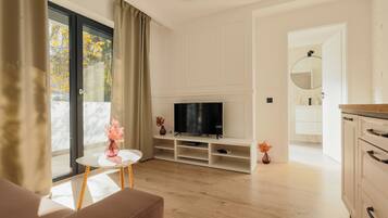 Plasma TV, Netflix, streaming services