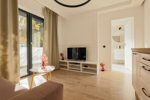 Plasma TV, Netflix, streaming services