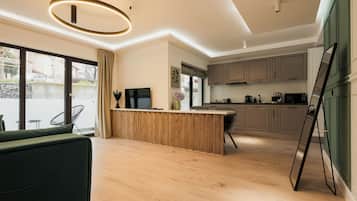 Apartamento Business | Zona de estar | Una televisión de plasma, Netflix, servicios de streaming