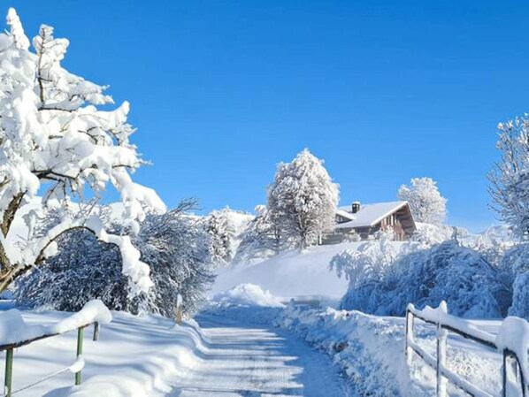 Un sendero cubierto de nieve que conduce a un edificio con techo inclinado, rodeado de árboles cargados de nieve y un cielo azul despejado.