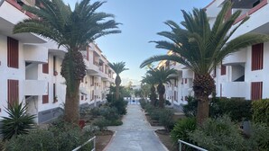 A pathway flanked by palm trees and a building with balconies. - 1 BED APARTMENT IN THE HEART OF LAS AMERICAS, POOL & WI-FI (Playa Delas Americas)