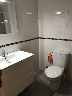 Regadera, secadora de cabello, toallas, papel de baño