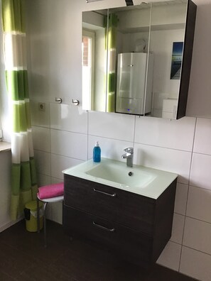 Shower, hair dryer, soap, toilet paper